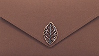 Р007 Подарочный конверт PREMIUM
