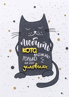 S046 Открытка Simple Cards 10х15 см - Кот