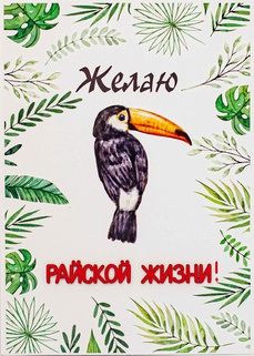 S077 Открытка Simple Cards 10х15 см - Тукан