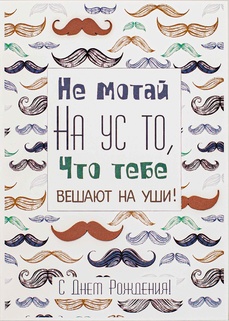 S097 Открытка Simple Cards 10х15 см - Усач